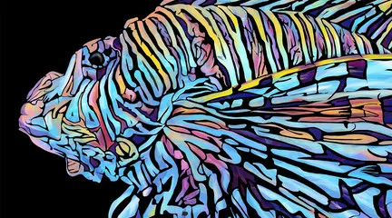 دوره آموزشی یادگیری Illustrator Draw
